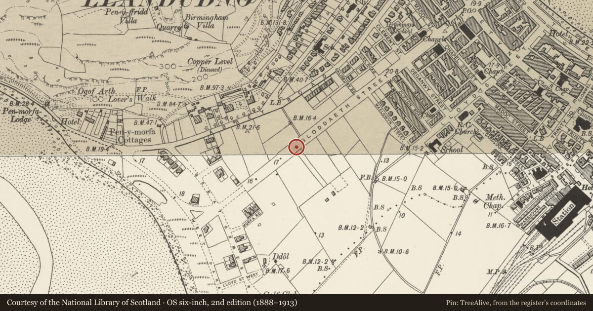 Ordnance Survey six-inch map, 2nd edition (1888–1913) covering the location of Shelter, Llandudno, Conwy, with a pin at the register's coordinates