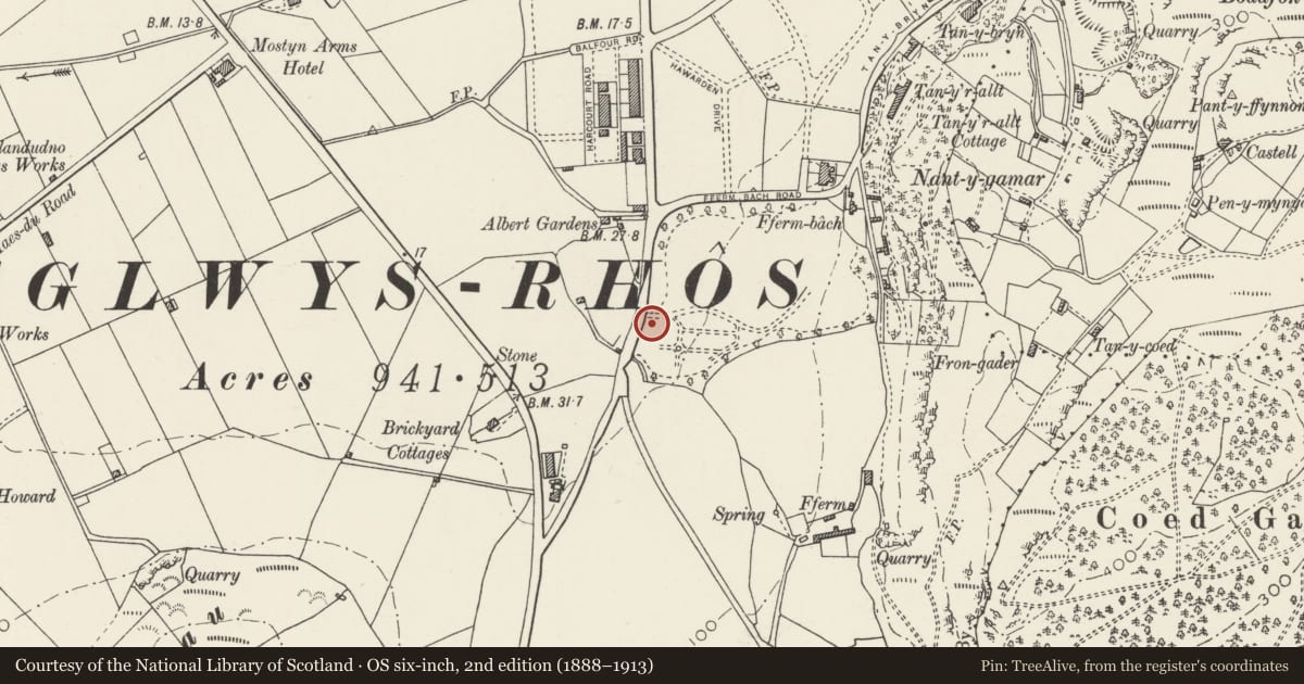 Ordnance Survey six-inch map, 2nd edition (1888–1913) covering the location of Queen's Road Lodge to North Wales Medical Centre, Llandudno, Conwy, with a pin at the register's coordinates