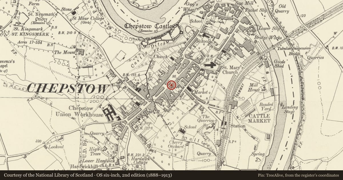 Ordnance Survey six-inch map, 2nd edition (1888–1913) covering the location of Nos. 19&20 High Street, Chepstow, Monmouthshire, with a pin at the register's coordinates