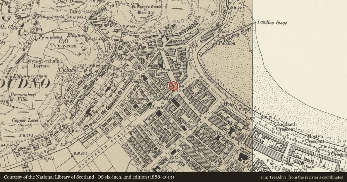 Ordnance Survey six-inch map, 2nd edition (1888–1913) covering the location of Moss Chemists, Llandudno, Conwy, with a pin at the register's coordinates