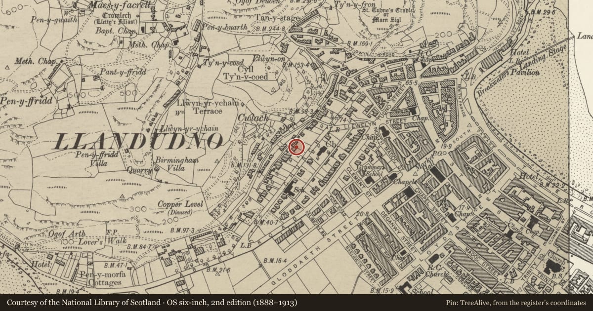 Ordnance Survey six-inch map, 2nd edition (1888–1913) covering the location of Sefton Court Hotel, Llandudno, Conwy, with a pin at the register's coordinates