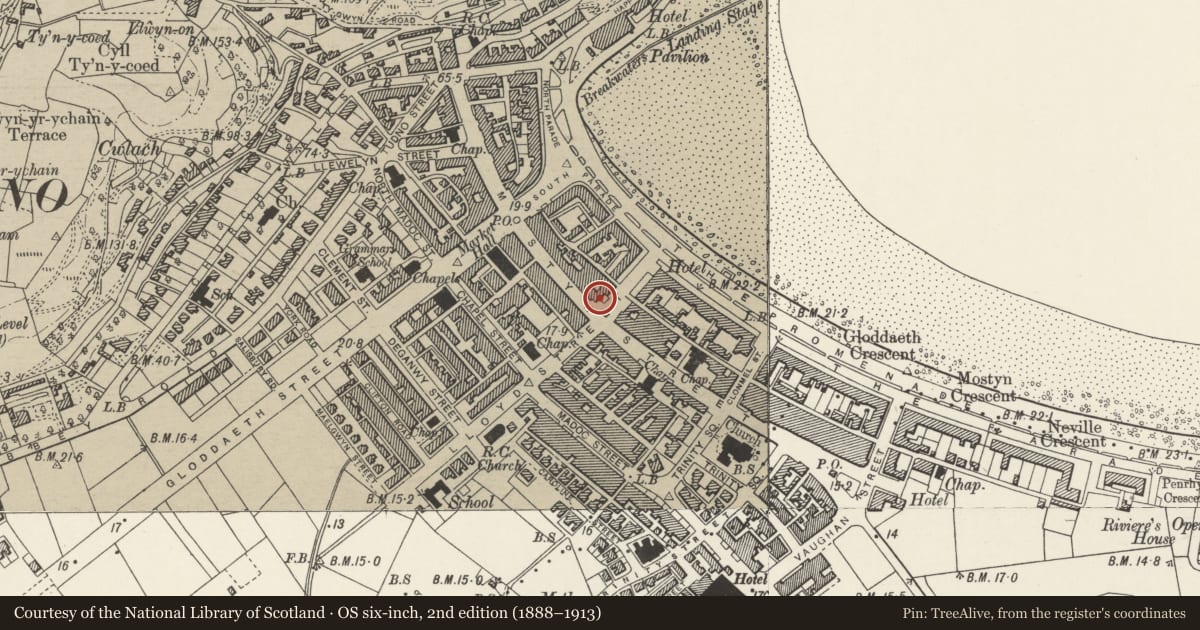 Ordnance Survey six-inch map, 2nd edition (1888–1913) covering the location of Burton's, Llandudno, Conwy, with a pin at the register's coordinates