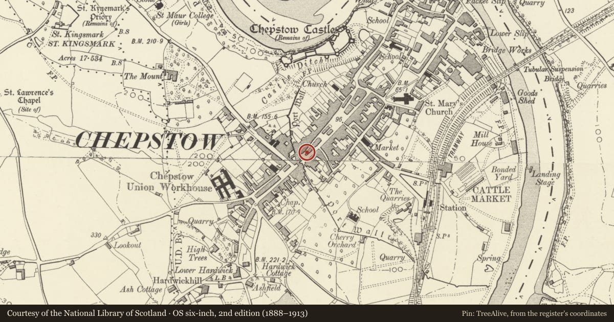 Ordnance Survey six-inch map, 2nd edition (1888–1913) covering the location of 29 High Street, Chepstow, Monmouthshire, with a pin at the register's coordinates