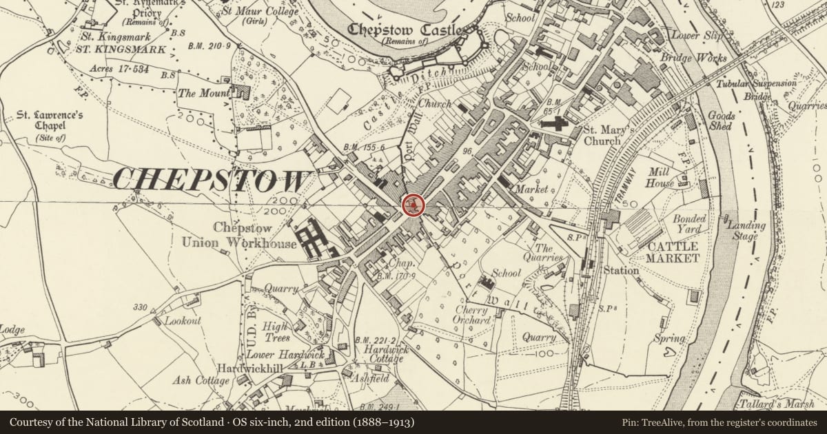 Ordnance Survey six-inch map, 2nd edition (1888–1913) covering the location of 30 High Street, Chepstow, Monmouthshire, with a pin at the register's coordinates