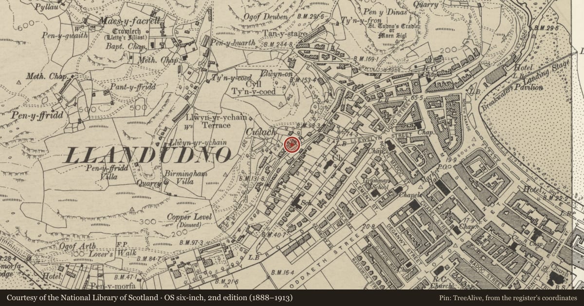 Ordnance Survey six-inch map, 2nd edition (1888–1913) covering the location of Tower View House, Llandudno, Conwy, with a pin at the register's coordinates
