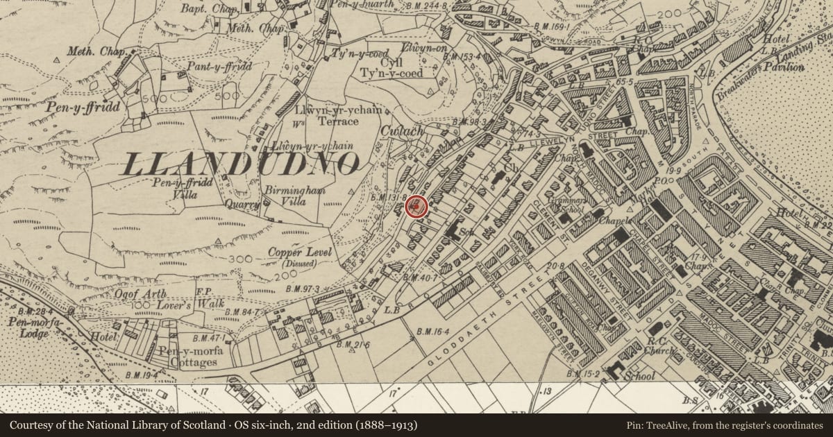 Ordnance Survey six-inch map, 2nd edition (1888–1913) covering the location of 14 Cwlach Street, Llandudno, Conwy, with a pin at the register's coordinates