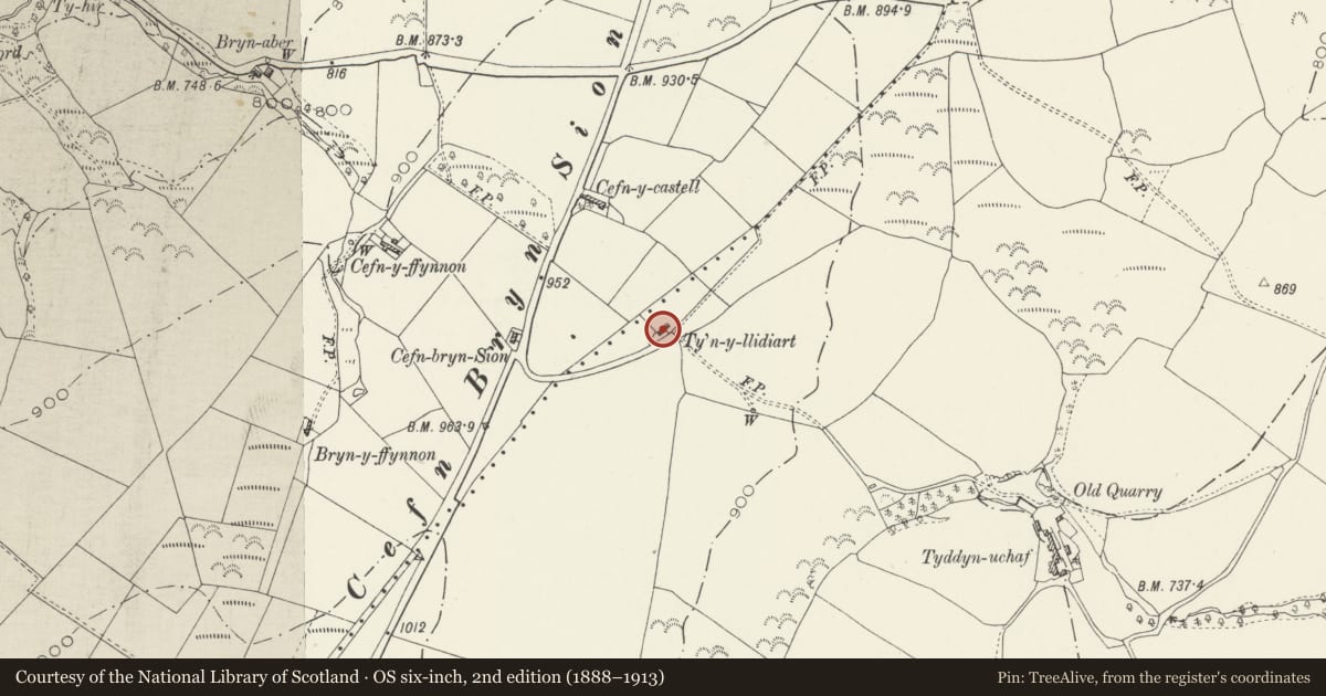 Ordnance Survey six-inch map, 2nd edition (1888–1913) covering the location of Ty'n y Llidiart, Llangernyw, Conwy, with a pin at the register's coordinates