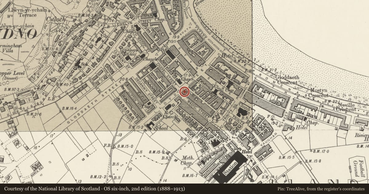 Ordnance Survey six-inch map, 2nd edition (1888–1913) covering the location of 25 Lloyd Street, Llandudno, Conwy, with a pin at the register's coordinates