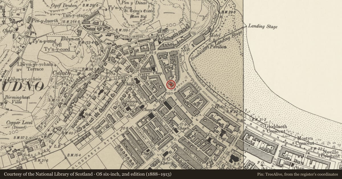 Ordnance Survey six-inch map, 2nd edition (1888–1913) covering the location of 123 Mostyn Street, Llandudno, Conwy, with a pin at the register's coordinates