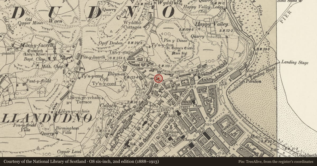 Ordnance Survey six-inch map, 2nd edition (1888–1913) covering the location of 20 Old Road, Llandudno, Conwy, with a pin at the register's coordinates