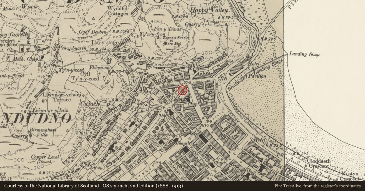 Ordnance Survey six-inch map, 2nd edition (1888–1913) covering the location of 4 Tudno Street, including forecourt walls & piers, Llandudno, Conwy, with a pin at the register's coordinates