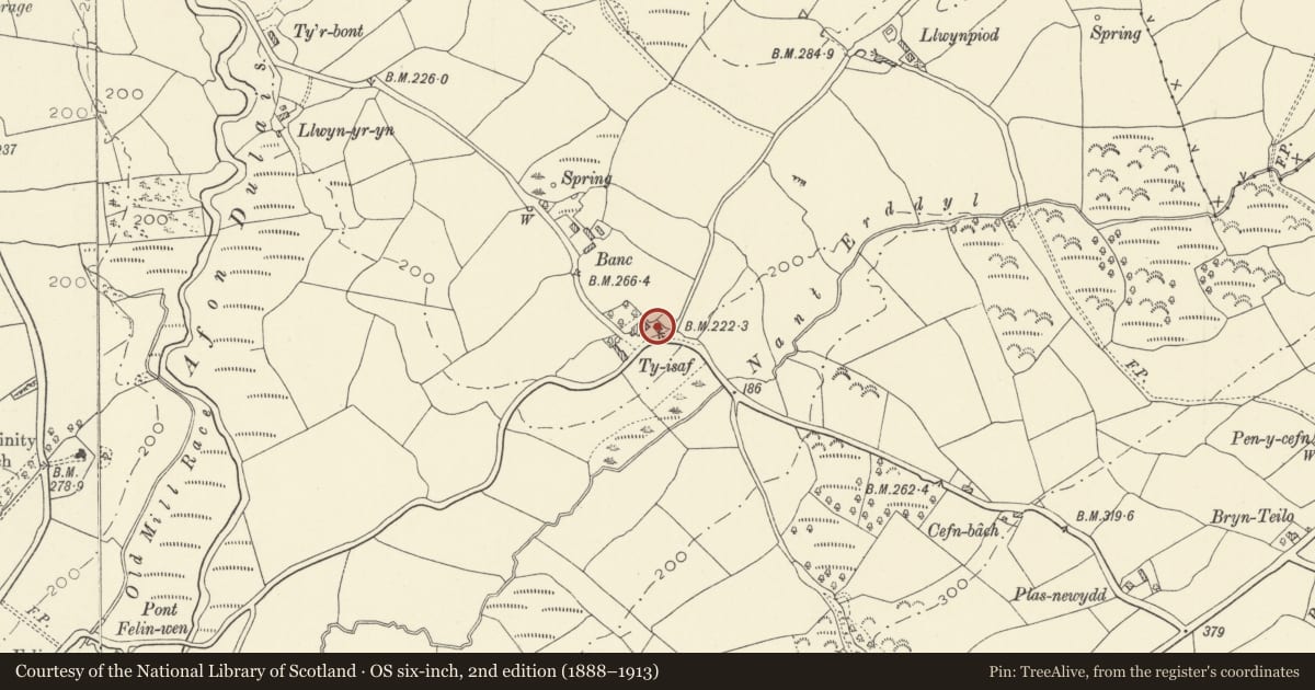 Ordnance Survey six-inch map, 2nd edition (1888–1913) covering the location of Ty Isaf, Manordeilo and Salem, Carmarthenshire, with a pin at the register's coordinates