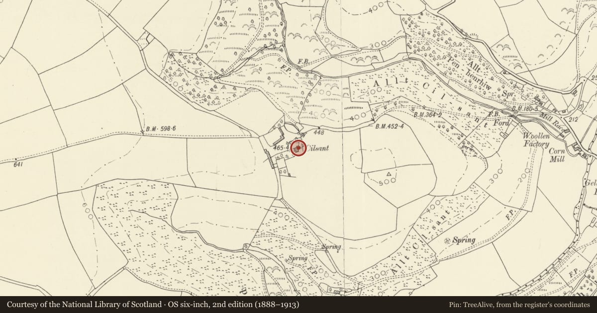 Ordnance Survey six-inch map, 2nd edition (1888–1913) covering the location of Cilsant, Llanwinio, Carmarthenshire, with a pin at the register's coordinates