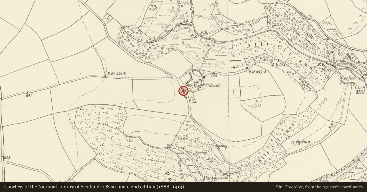 Ordnance Survey six-inch map, 2nd edition (1888–1913) covering the location of Range of outbuildings at Cilsant, Llanwinio, Carmarthenshire, with a pin at the register's coordinates
