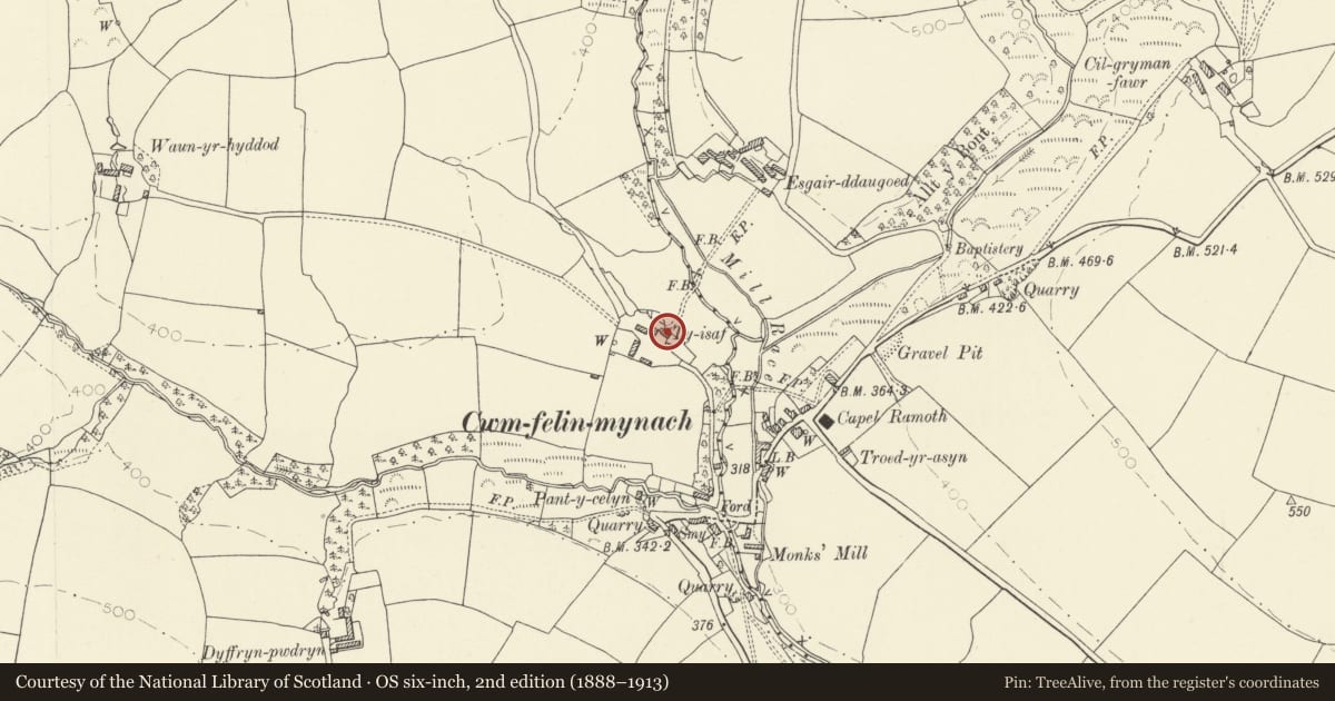 Ordnance Survey six-inch map, 2nd edition (1888–1913) covering the location of Ty-isaf, Llanwinio, Carmarthenshire, with a pin at the register's coordinates