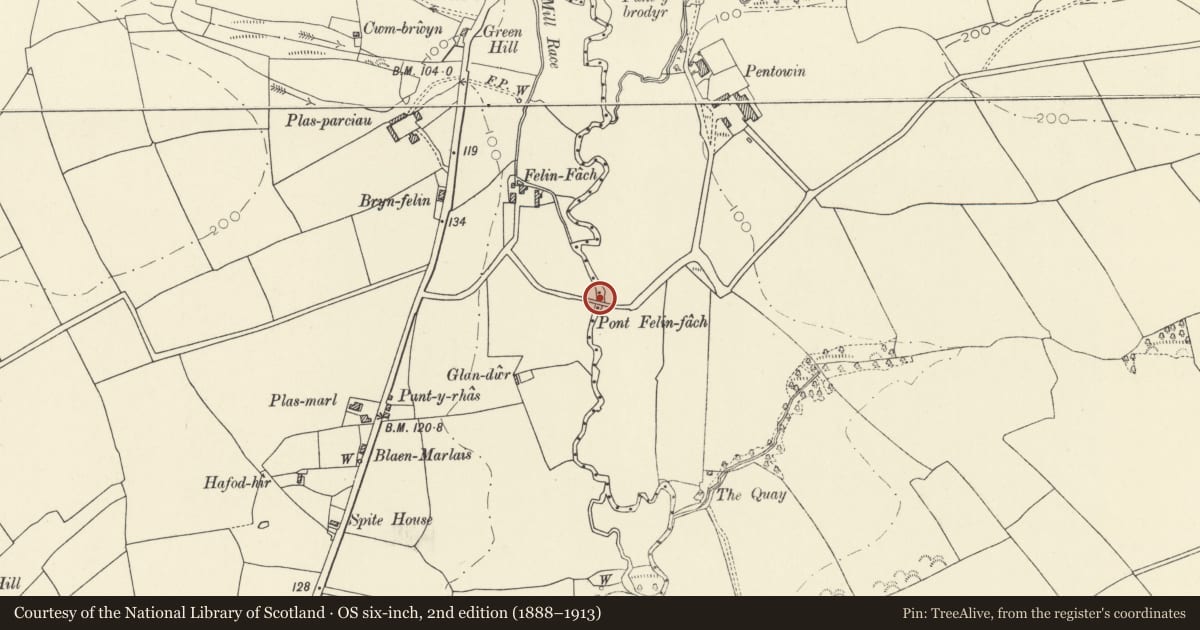 Ordnance Survey six-inch map, 2nd edition (1888–1913) covering the location of Pont Felinfach, St. Clears, Carmarthenshire, with a pin at the register's coordinates