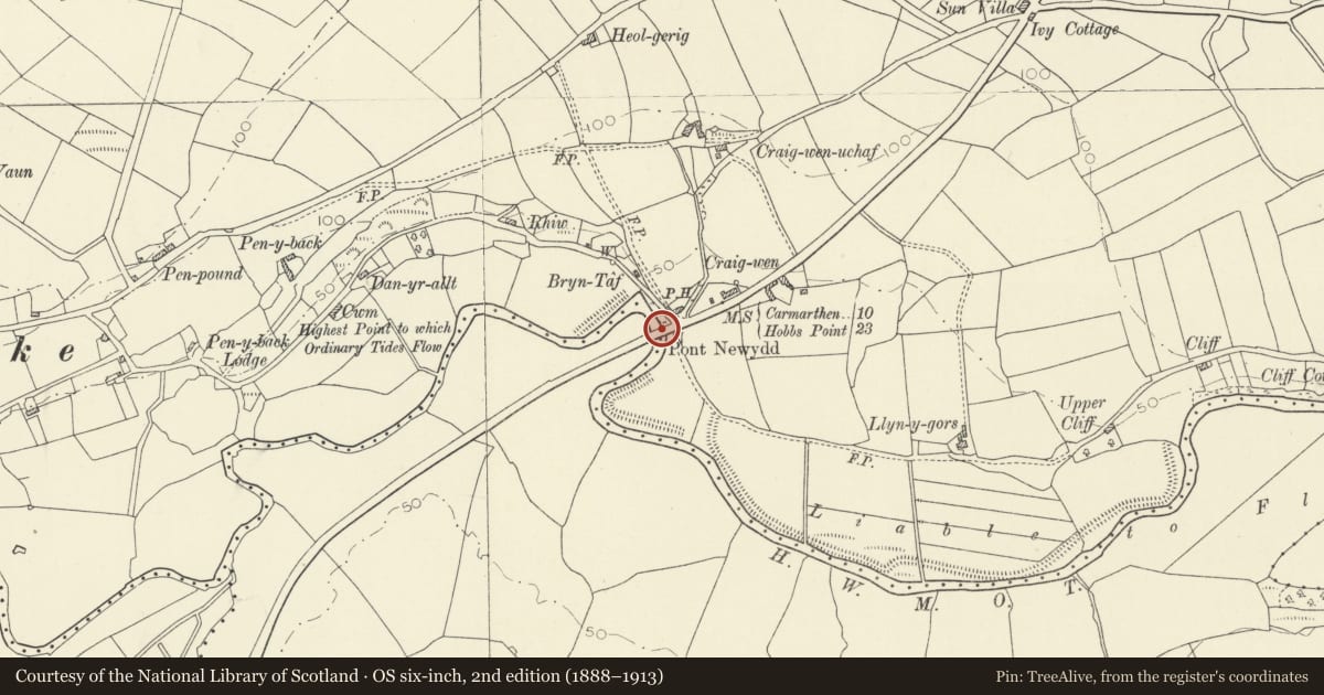 Ordnance Survey six-inch map, 2nd edition (1888–1913) covering the location of Pont Newydd, St. Clears, Carmarthenshire, with a pin at the register's coordinates