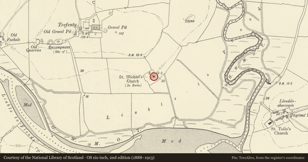 Ordnance Survey six-inch map, 2nd edition (1888–1913) covering the location of Pilgrims Graves by ruins of St Michael's Church, St. Clears, Carmarthenshire, with a pin at the register's coordinates