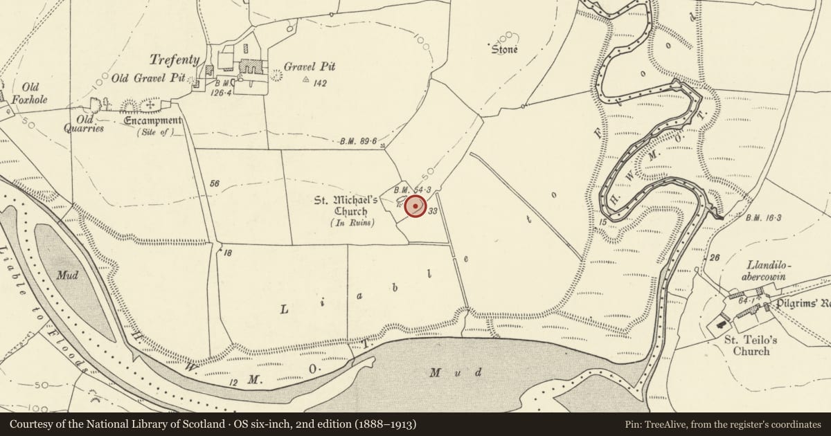 Ordnance Survey six-inch map, 2nd edition (1888–1913) covering the location of Pilgrim's Graves S of ruins of St Michaels Church, St. Clears, Carmarthenshire, with a pin at the register's coordinates