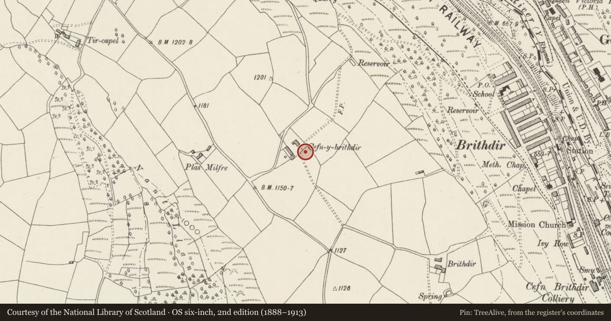 Ordnance Survey six-inch map, 2nd edition (1888–1913) covering the location of Pigsty at Cefn-y-Brithdir, New Tredegar, Caerphilly, with a pin at the register's coordinates