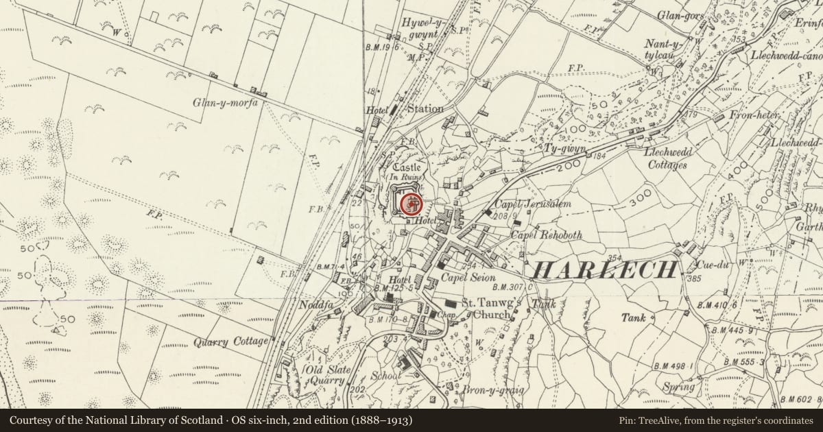 Ordnance Survey six-inch map, 2nd edition (1888–1913) covering the location of Harlech Castle, Gwynedd, with a pin at the register's coordinates