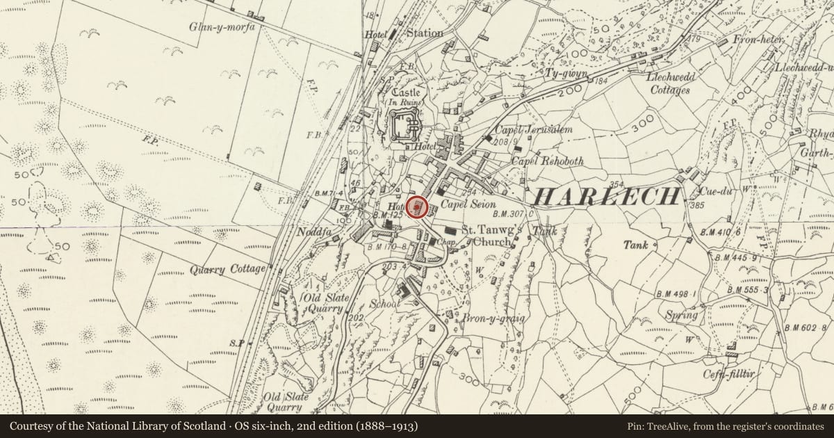 Ordnance Survey six-inch map, 2nd edition (1888–1913) covering the location of The Plas, Harlech, Gwynedd, with a pin at the register's coordinates