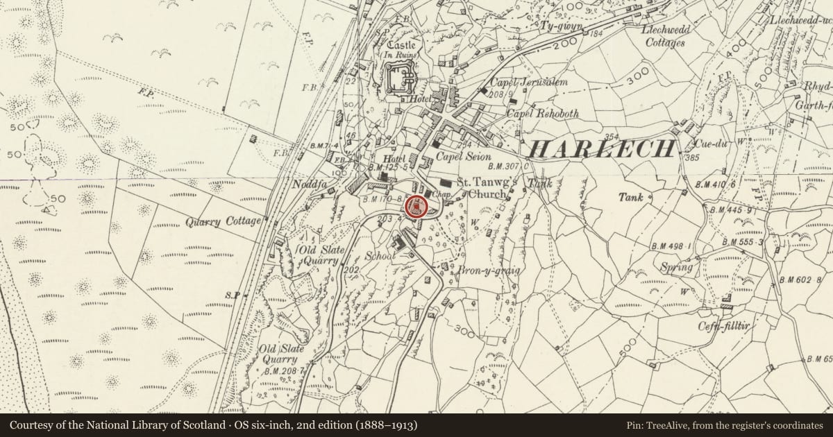 Ordnance Survey six-inch map, 2nd edition (1888–1913) covering the location of Harlech Pottery including Forecourt Walls and Railings, Gwynedd, with a pin at the register's coordinates