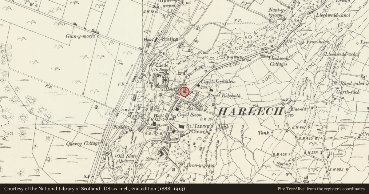 Ordnance Survey six-inch map, 2nd edition (1888–1913) covering the location of Gweithdy Saer, Harlech, Gwynedd, with a pin at the register's coordinates