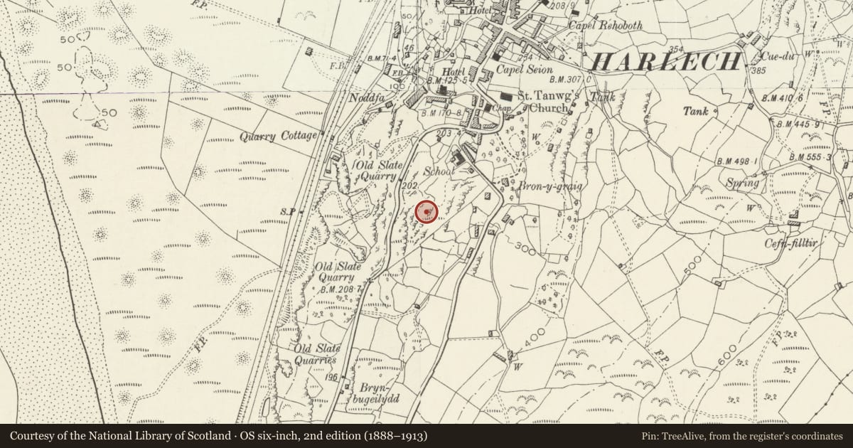 Ordnance Survey six-inch map, 2nd edition (1888–1913) covering the location of Crown Lodge, Harlech, Gwynedd, with a pin at the register's coordinates