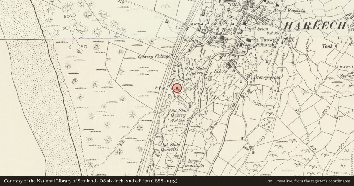 Ordnance Survey six-inch map, 2nd edition (1888–1913) covering the location of Coleg Harlech including Terrace Revetment Walls to the W, Gwynedd, with a pin at the register's coordinates