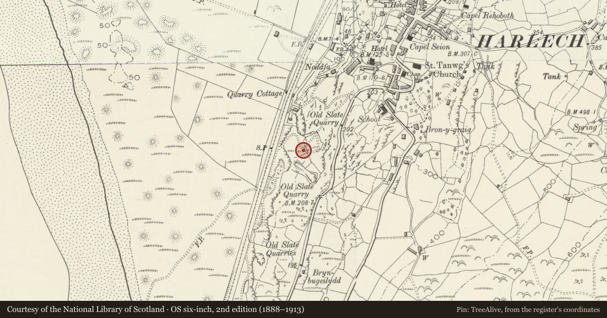 Ordnance Survey six-inch map, 2nd edition (1888–1913) covering the location of Gateway, Forecourt and Screen Walls at Coleg Harlech, Gwynedd, with a pin at the register's coordinates