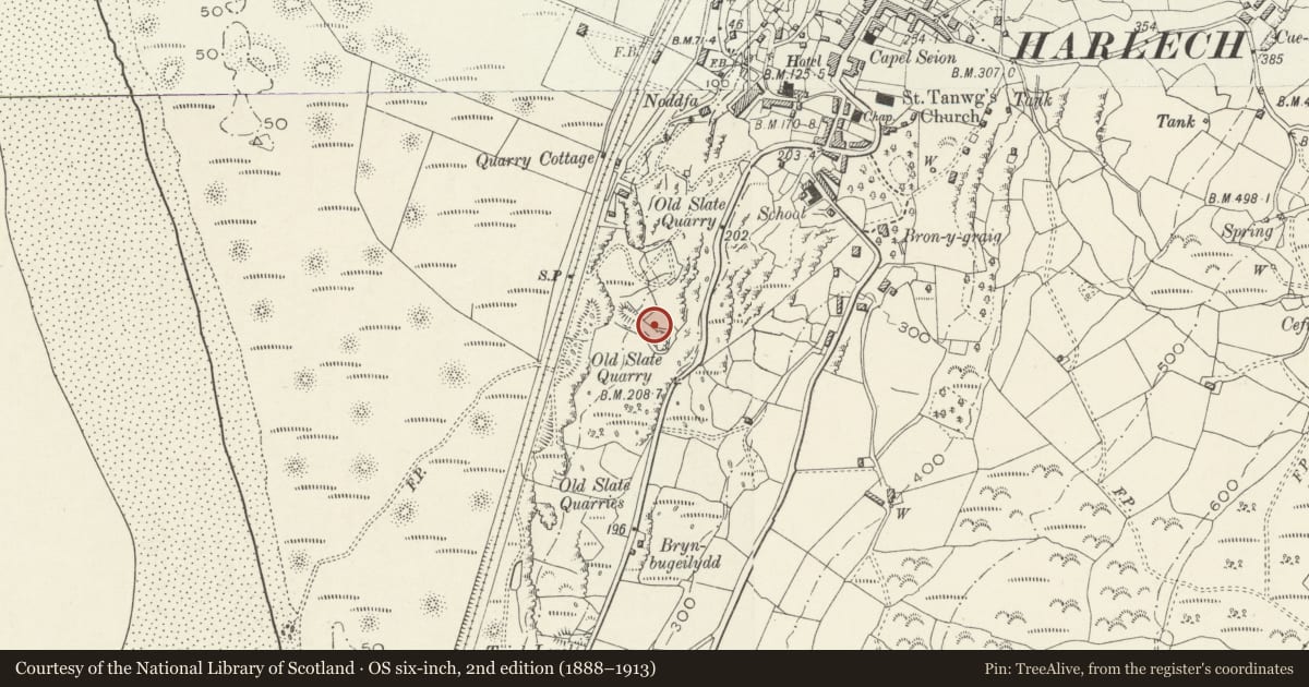 Ordnance Survey six-inch map, 2nd edition (1888–1913) covering the location of Y Wern, Harlech, Gwynedd, with a pin at the register's coordinates