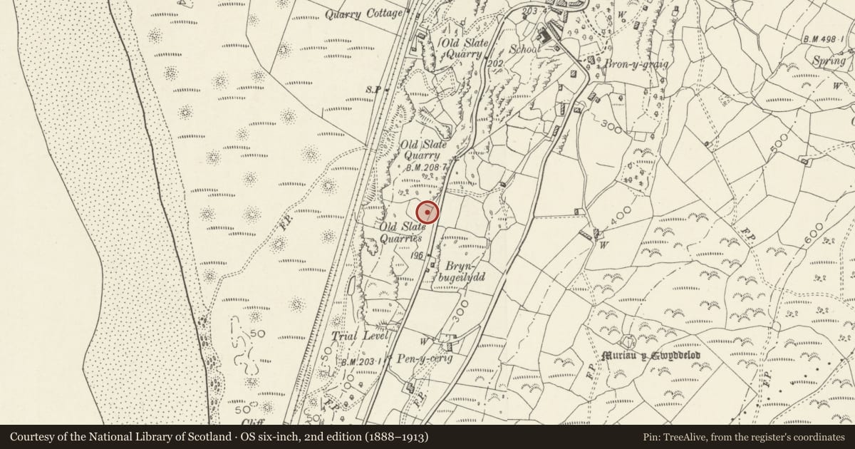 Ordnance Survey six-inch map, 2nd edition (1888–1913) covering the location of Cae Besi, Harlech, Gwynedd, with a pin at the register's coordinates