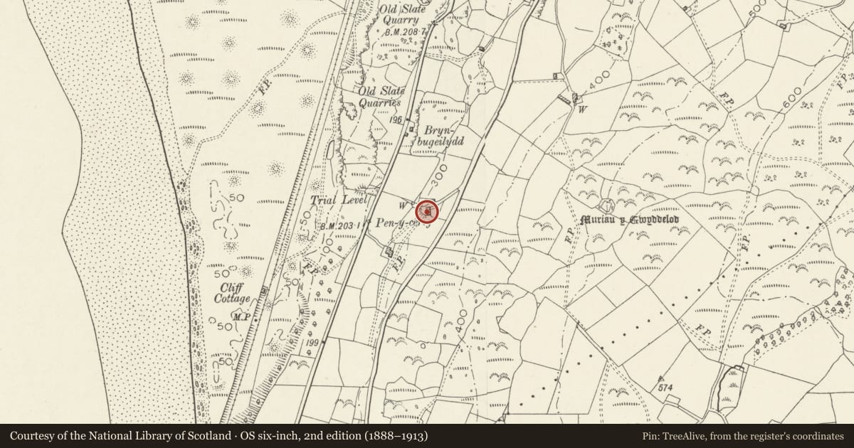 Ordnance Survey six-inch map, 2nd edition (1888–1913) covering the location of Pencerrig Pellaf, Harlech, Gwynedd, with a pin at the register's coordinates
