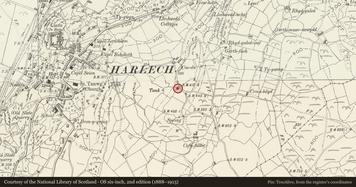 Ordnance Survey six-inch map, 2nd edition (1888–1913) covering the location of Field Barn S of Cae Du, Harlech, Gwynedd, with a pin at the register's coordinates