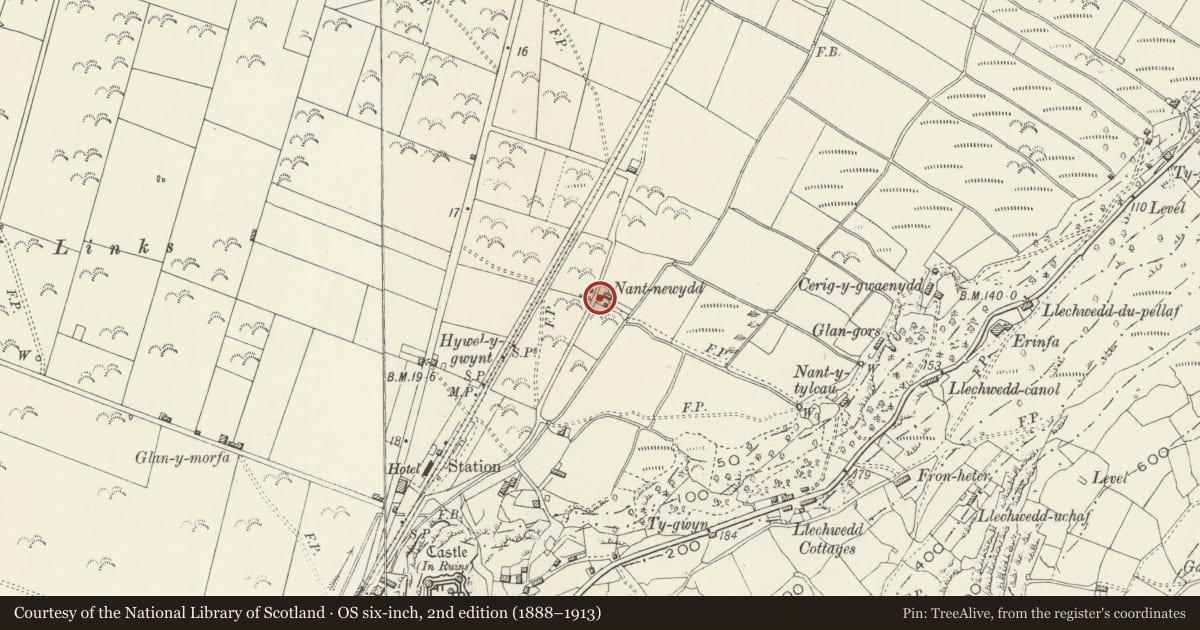 Ordnance Survey six-inch map, 2nd edition (1888–1913) covering the location of Cow House S of Ael-y-Glyn, Harlech, Gwynedd, with a pin at the register's coordinates