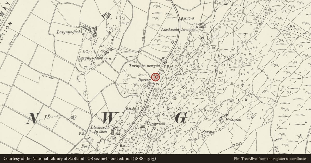 Ordnance Survey six-inch map, 2nd edition (1888–1913) covering the location of Milestone, Harlech, Gwynedd, with a pin at the register's coordinates
