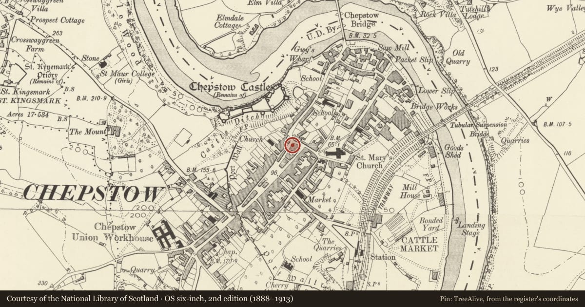 Ordnance Survey six-inch map, 2nd edition (1888–1913) covering the location of 8 Middle Street, Chepstow, Monmouthshire, with a pin at the register's coordinates