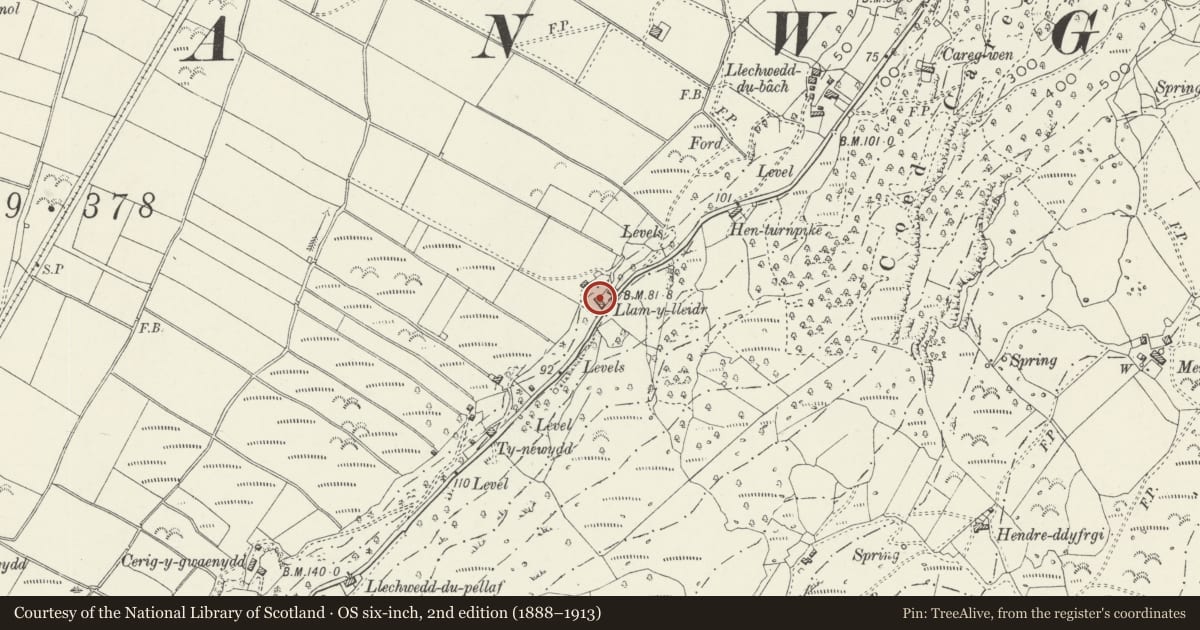 Ordnance Survey six-inch map, 2nd edition (1888–1913) covering the location of Primary House at Llam-y-Lleidr, Harlech, Gwynedd, with a pin at the register's coordinates