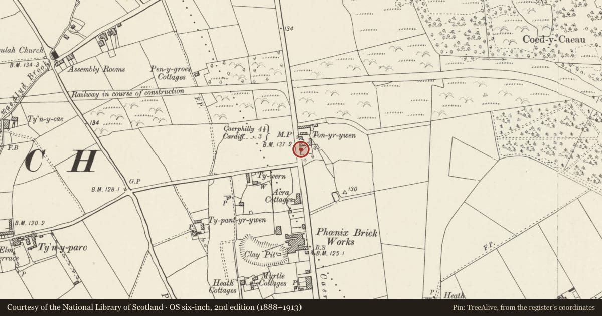 Ordnance Survey six-inch map, 2nd edition (1888–1913) covering the location of Pair of Mileposts in W boundary wall to Lidl car park, Heath, Cardiff, with a pin at the register's coordinates