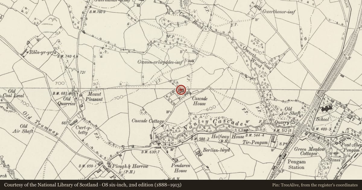 Ordnance Survey six-inch map, 2nd edition (1888–1913) covering the location of Cascade House, Gelligaer, Caerphilly, with a pin at the register's coordinates