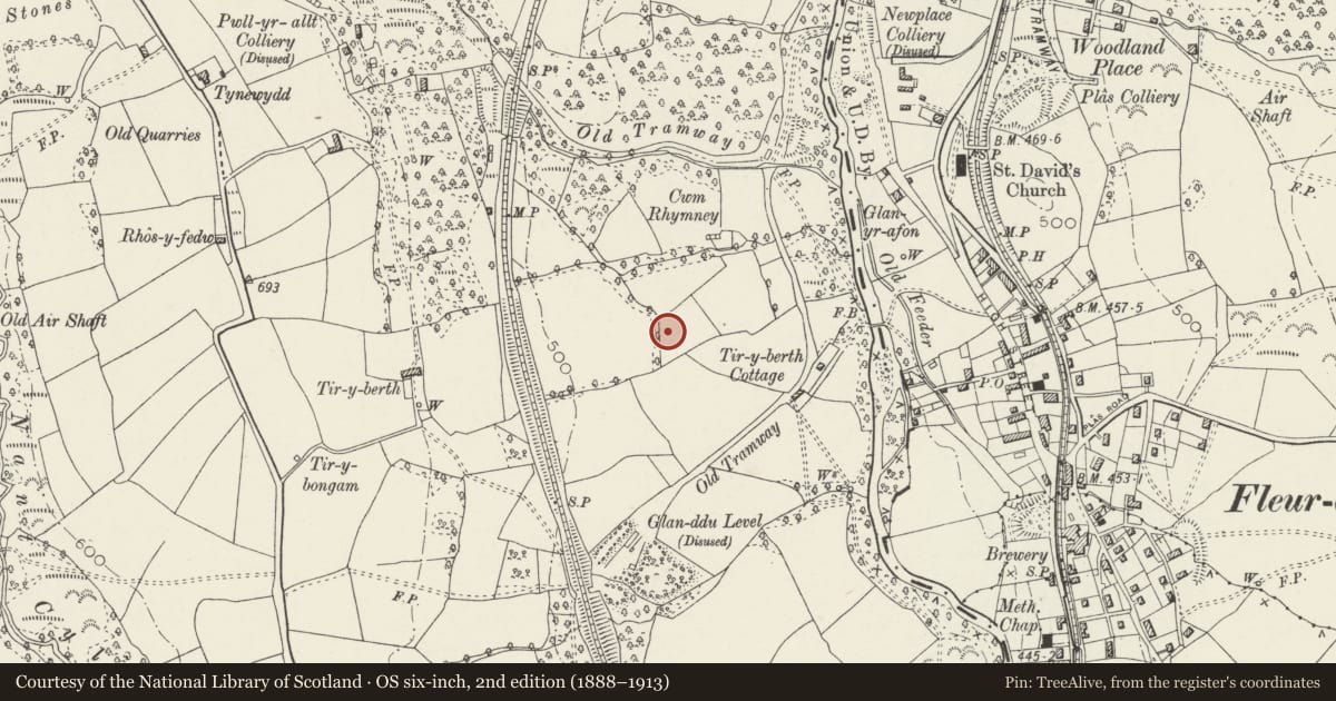 Ordnance Survey six-inch map, 2nd edition (1888–1913) covering the location of Tir-y-berth County Primary School, Gelligaer, Caerphilly, with a pin at the register's coordinates