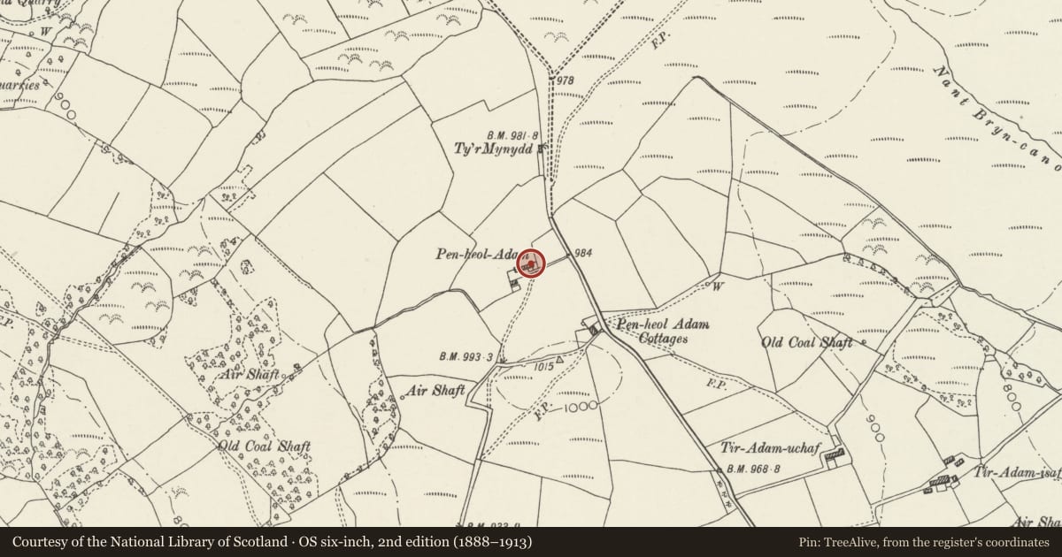 Ordnance Survey six-inch map, 2nd edition (1888–1913) covering the location of Pen-heol-Adam, Gelligaer, Caerphilly, with a pin at the register's coordinates