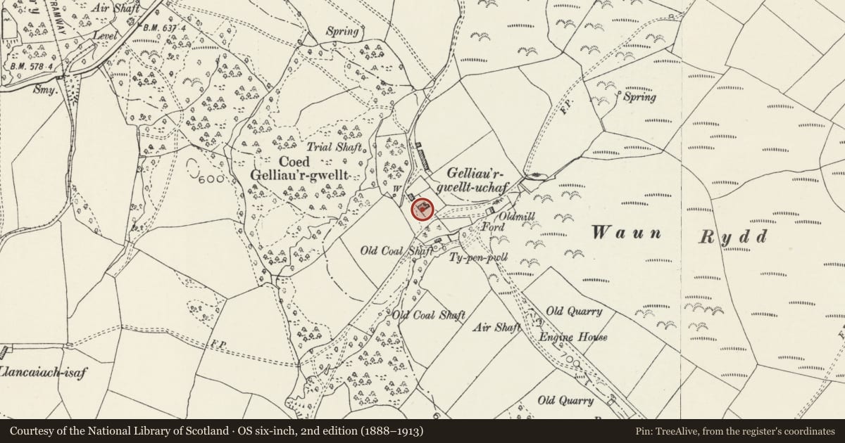 Ordnance Survey six-inch map, 2nd edition (1888–1913) covering the location of Gelliargwellt Uchaf Farmhouse, Gelligaer, Caerphilly, with a pin at the register's coordinates