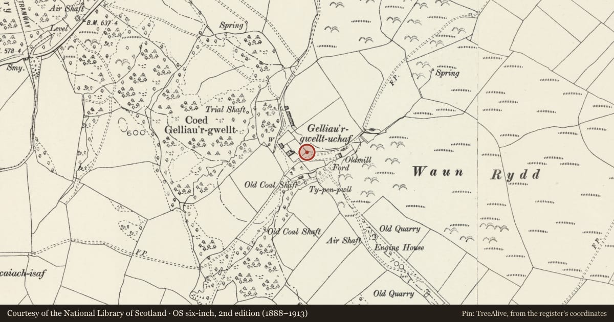 Ordnance Survey six-inch map, 2nd edition (1888–1913) covering the location of Bee-boles at Gelliargwellt Uchaf, Gelligaer, Caerphilly, with a pin at the register's coordinates