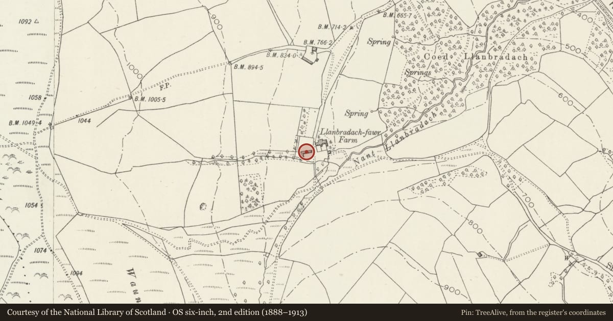 Ordnance Survey six-inch map, 2nd edition (1888–1913) covering the location of Barn and stable range at Llanbradach Fawr, Gelligaer, Caerphilly, with a pin at the register's coordinates