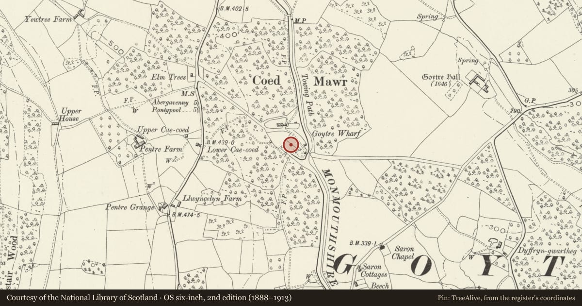Ordnance Survey six-inch map, 2nd edition (1888–1913) covering the location of Three Limekilns at Goytre Wharf, Goetre Fawr, Monmouthshire, with a pin at the register's coordinates