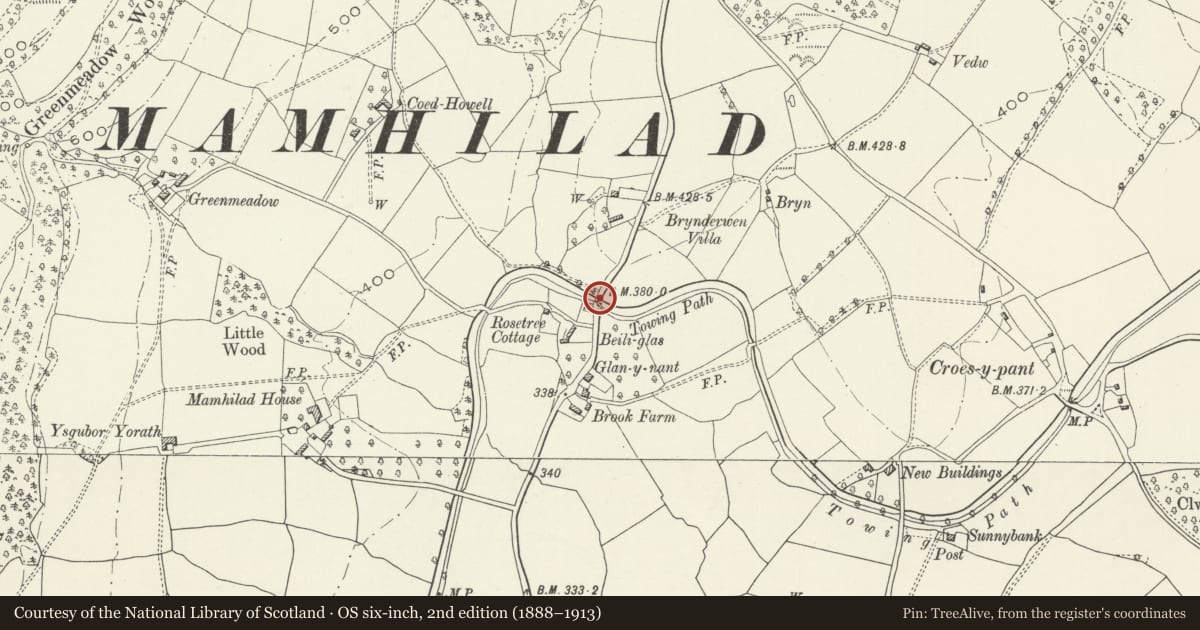 Ordnance Survey six-inch map, 2nd edition (1888–1913) covering the location of Bridge No. 65, Goetre Fawr, Monmouthshire, with a pin at the register's coordinates