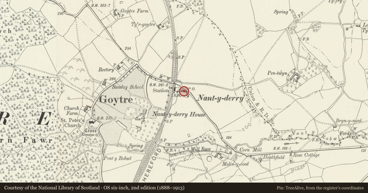 Ordnance Survey six-inch map, 2nd edition (1888–1913) covering the location of Nantyderry Cottages, Goetre Fawr, Monmouthshire, with a pin at the register's coordinates