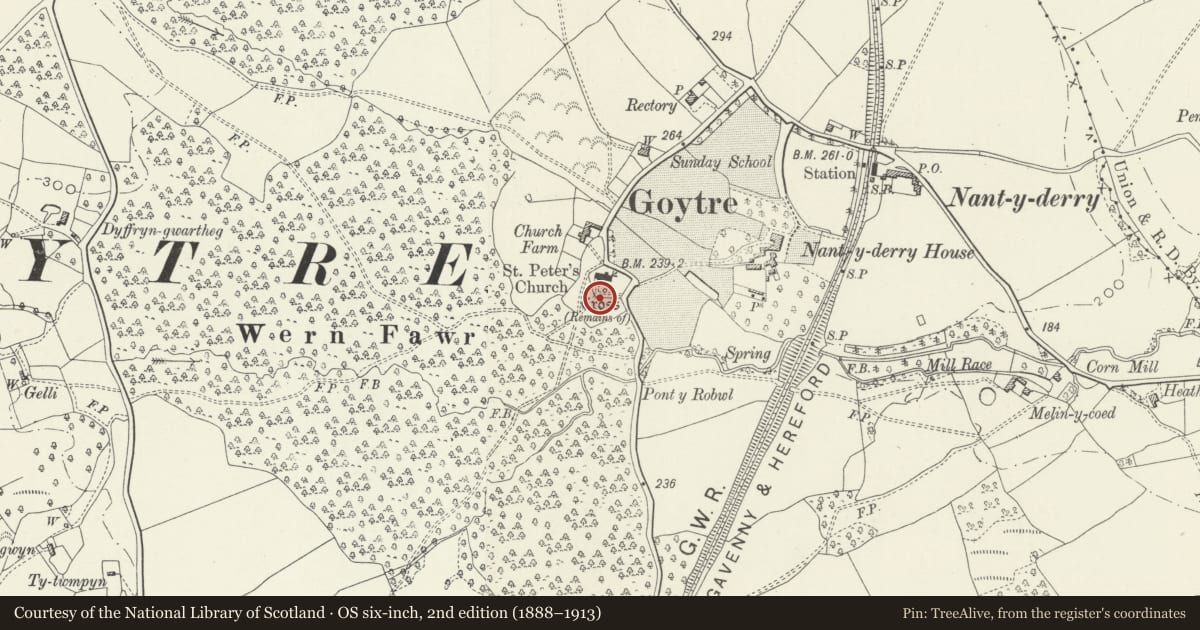 Ordnance Survey six-inch map, 2nd edition (1888–1913) covering the location of Obelisk to Marie Witherington in Churchyard of Church of St Peter, Goetre Fawr, Monmouthshire, with a pin at the register's coordinates